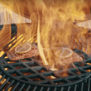 filet bbq style revo food saumon poisson végétal vegan belgique barbecue