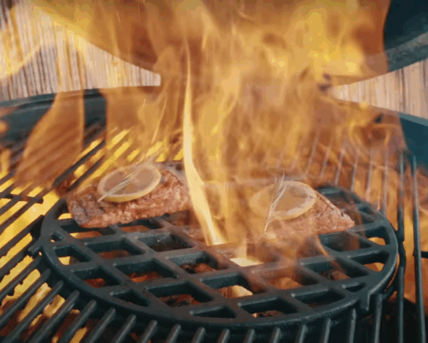 filet bbq style revo food saumon poisson végétal vegan belgique barbecue