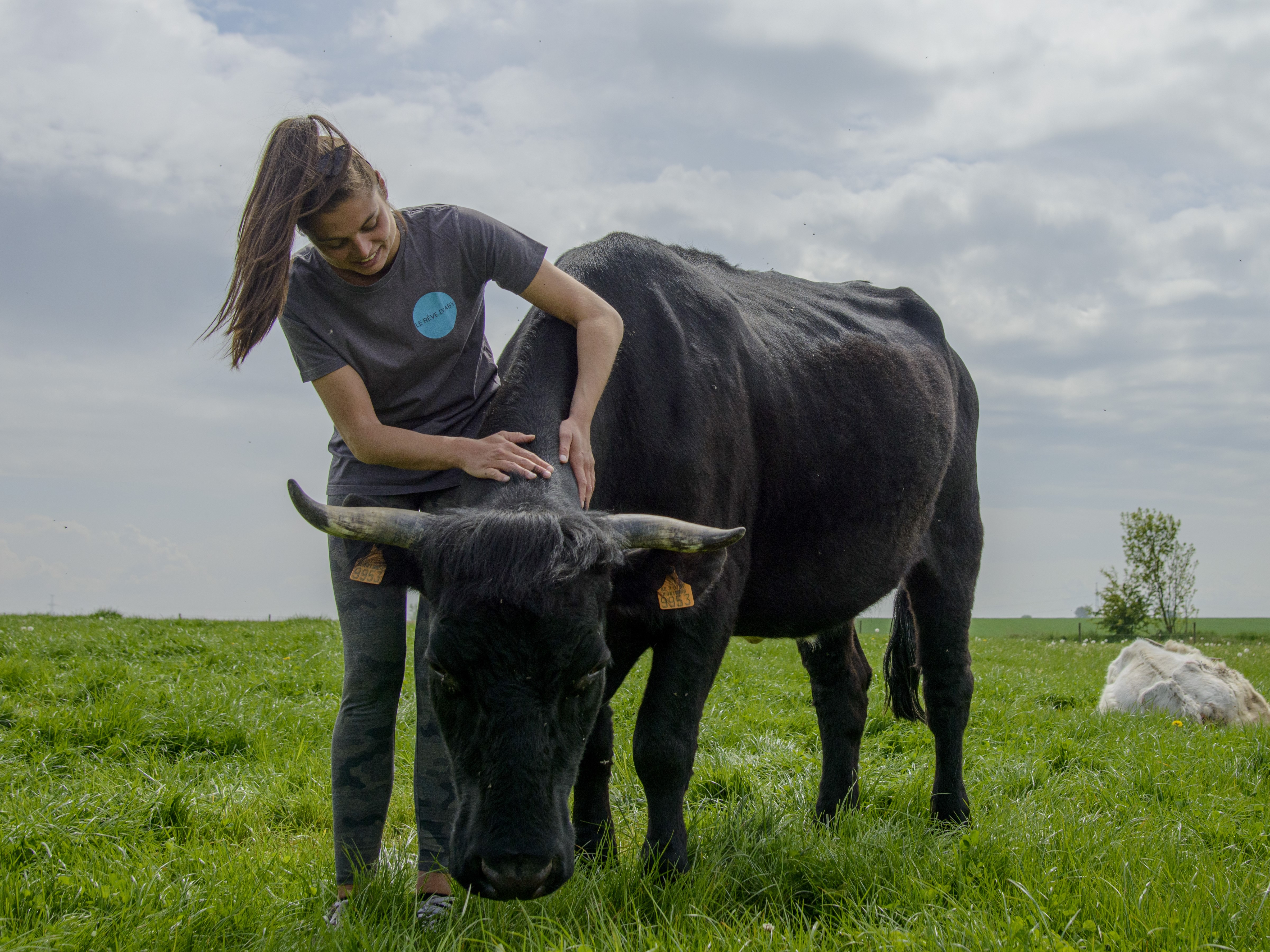 pourquoi devenir vegan qu'est-ce que le véganisme ? pourquoi les animaux ont besoin de nous