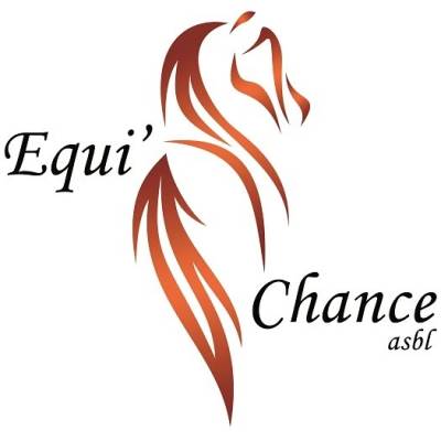equi chance refuge pour chevaux équidés romedenne belgique