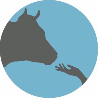 le rêve d'aby refuge pour chevaux et animaux de ferme vegan belgique