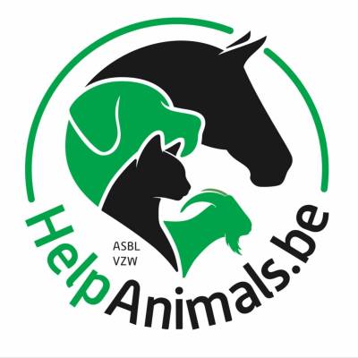 help animals refuge pour chiens chats animaux de ferme nac rongeurs équidés chevaux à waterloo braine le chateau et anderlecht belgique