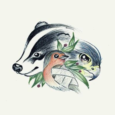 creaves de ransart centre de revalidation espèces vivant à l'état sauvage oiseaux en belgique charleroi