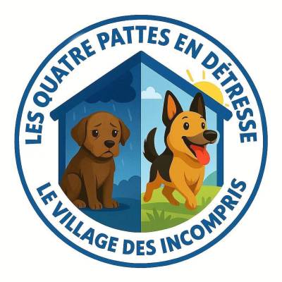 les quatre pattes en détresse asbl sanctuaire refuge pour chiens et chats à jumet charleroi belgique