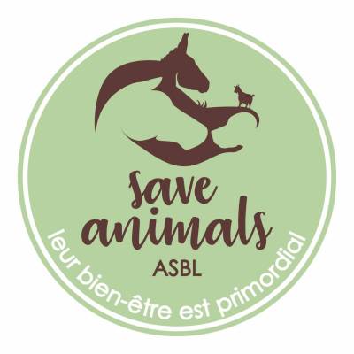 save animals sauvetages asbl refuge pour chevaux et animaux en détresse à charleroi marcinelle belgique