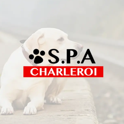 spa de charleroi mont sur marchienne belgique refuge pour chiens et chats