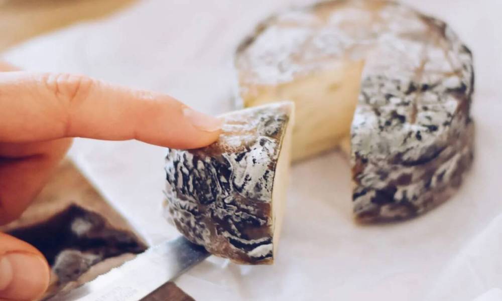 forte azul ques’eso la carleta belgique fromage vegan bleu roquefort alternative végétale