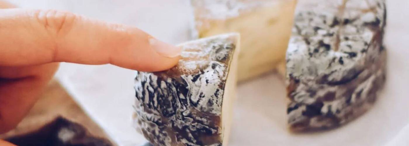 forte azul ques’eso la carleta belgique fromage vegan bleu roquefort alternative végétale