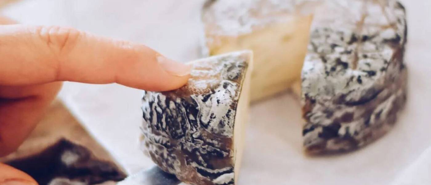 forte azul ques’eso la carleta belgique fromage vegan bleu roquefort alternative végétale