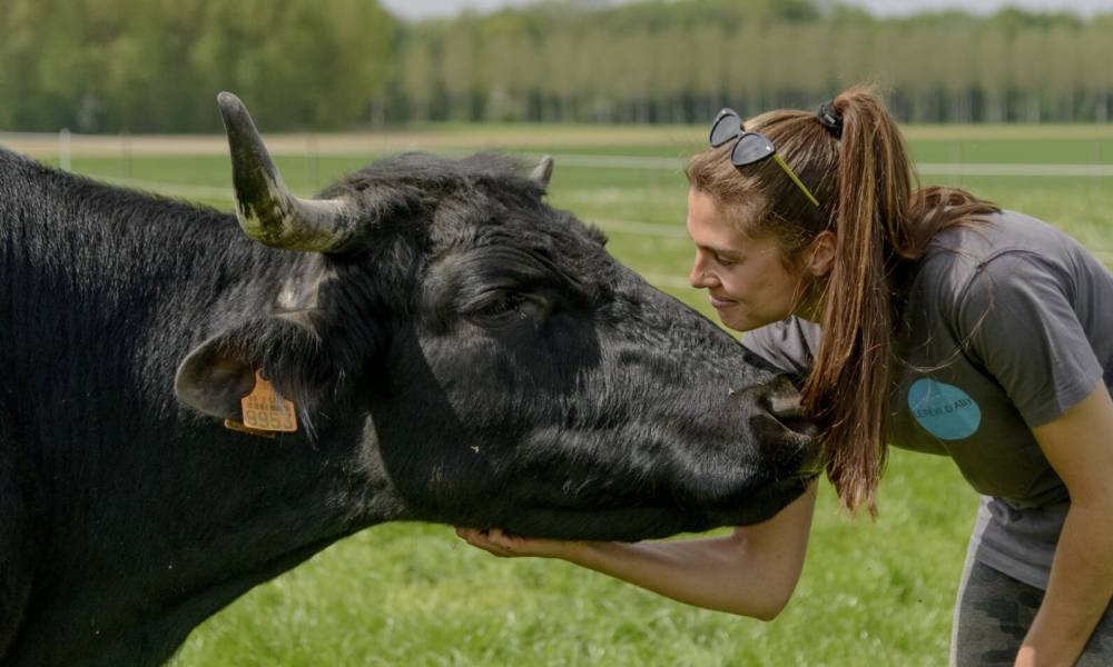 repertoire vegan liste belgique animaux