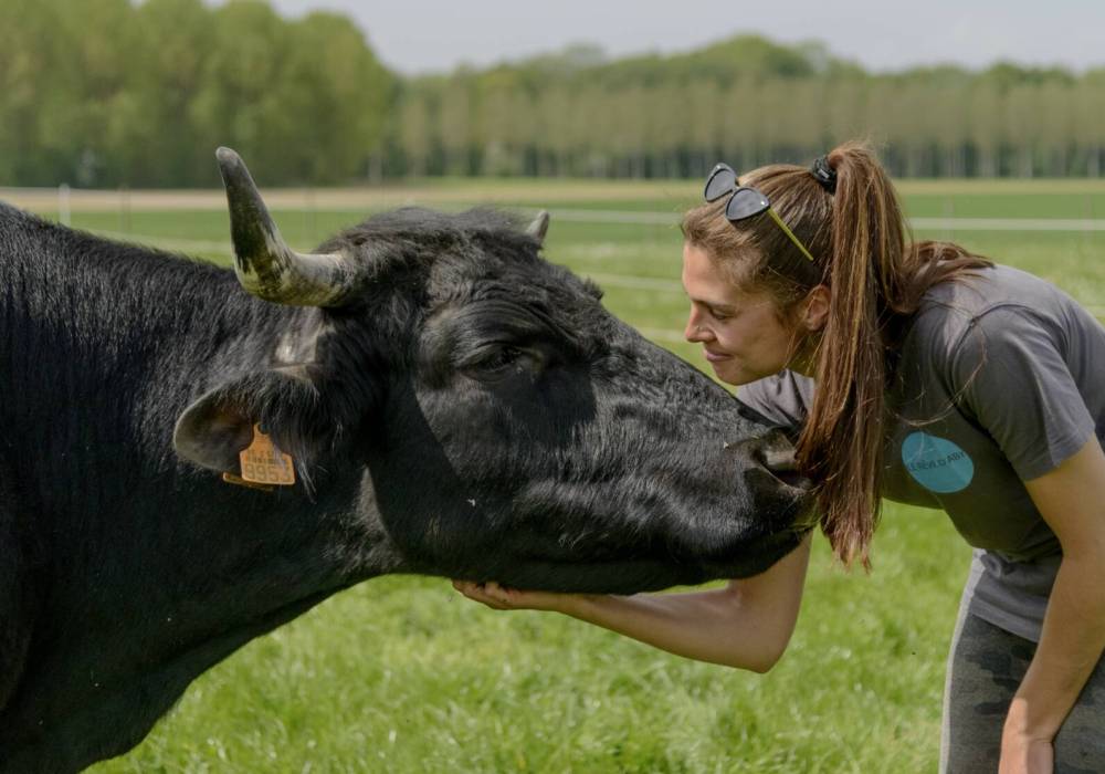 repertoire vegan liste belgique animaux